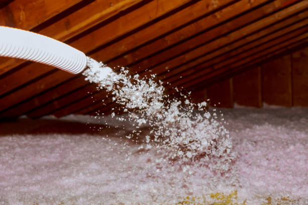 Best Home Insulation Services  in Loma Linda, CA