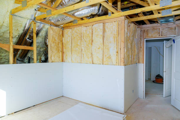 Best Insulation Removal  in Loma Linda, CA