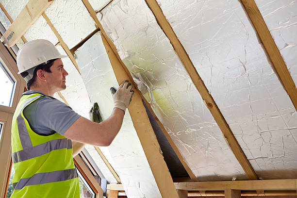 Best Affordable Insulation Services  in Loma Linda, CA